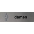 Dames Pictogram rvs